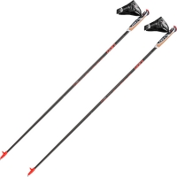 LEKI BATONS WALKER PLATINIUM CARBONE   Batons marche nordique
