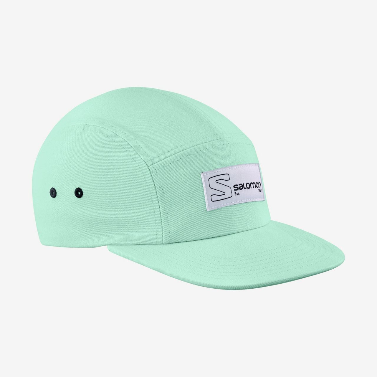 SALOMON FIVE PANEL HARBOR GRAY Casquette running