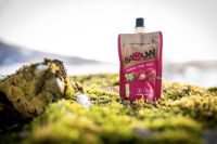BAOUW  PUREE FRAMBOISE FRAISE ET BASILIC 90g Compote  énergetique pas cher