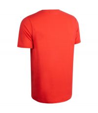 DAEHLIE TEE SHIRT FOCUS FIESTA tee shirt running pas cher