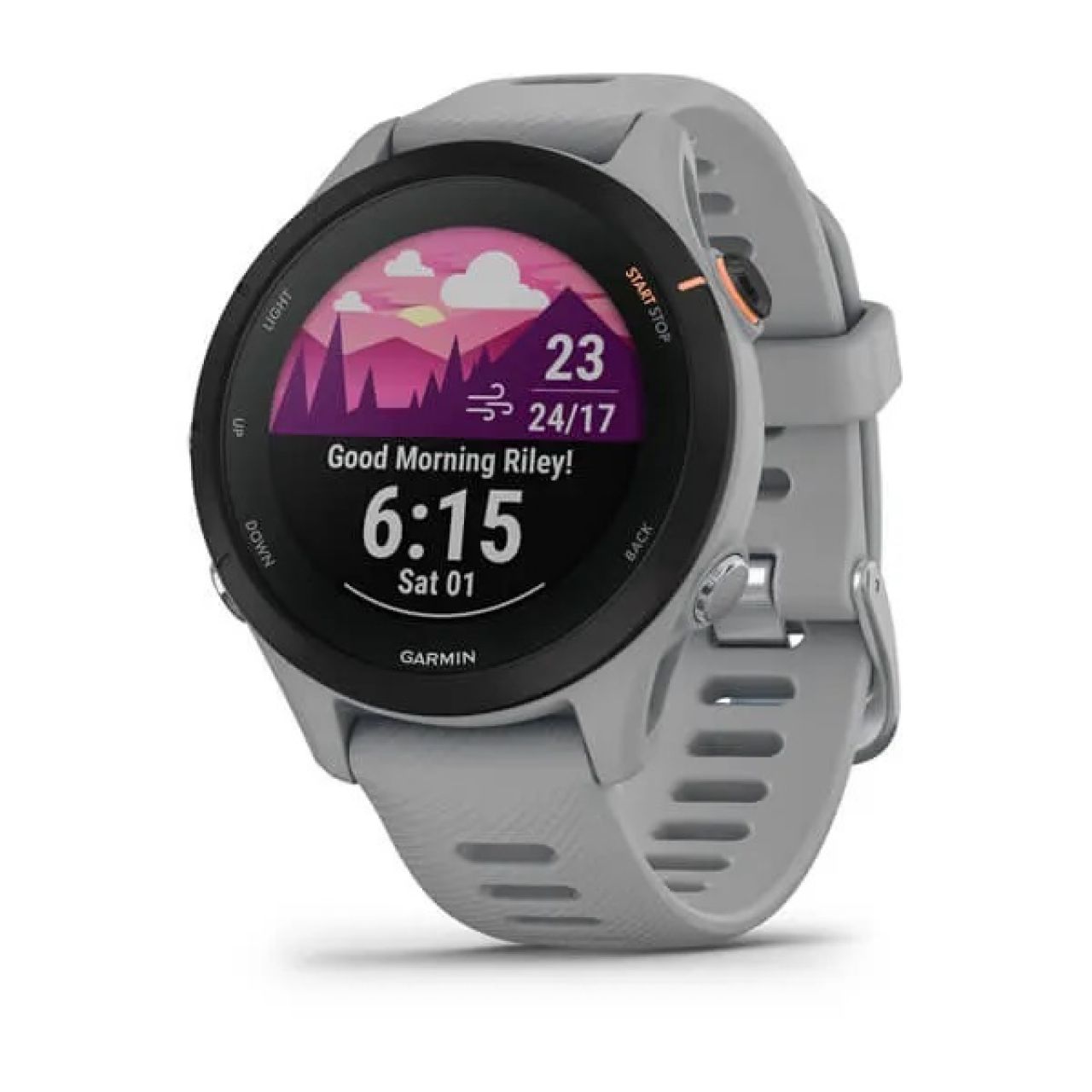 MONTRE CARDIO GPS GARMIN FORERUNNER 245 GRISE