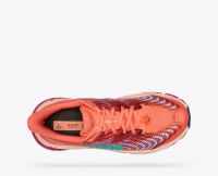 HOKA MAFATE SPEED 4  CAMELLIA Chaussures de trail pas cher