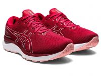 ASICS GEL CUMULUS 24 CRANBERRY   Chaussures Running pas cher