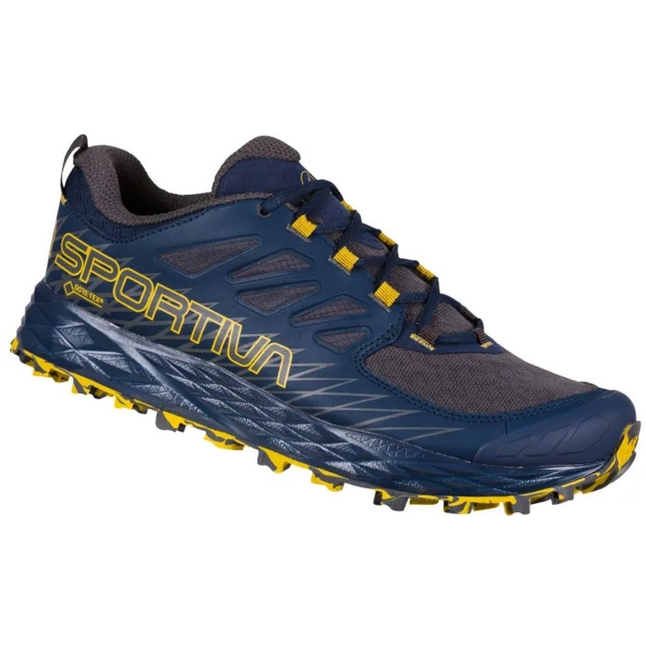 LA SPORTIVA  LYCAN GTX  BLUE MOSS chaussure de  trail