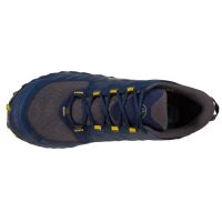 LA SPORTIVA  LYCAN GTX  BLUE MOSS chaussure de  trail pas cher