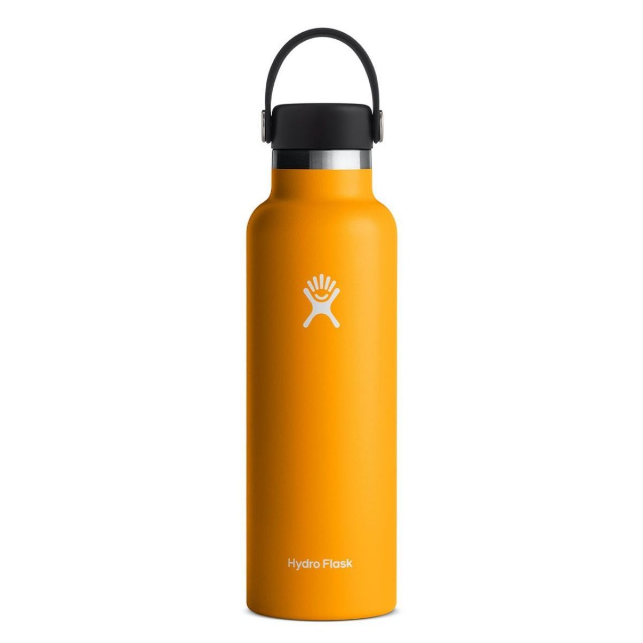 HYDROFLASK 21 OZ STANDARD MOUTH STARFISH Bouteilles isotherme