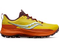 SAUCONY PEREGRINE 13 ARROYO  Chaussures de trail pas cher