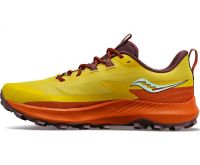 SAUCONY PEREGRINE 13 ARROYO  Chaussures de trail pas cher