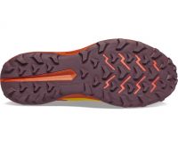 SAUCONY PEREGRINE 13 ARROYO  Chaussures de trail pas cher