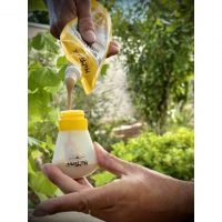 MELTONIC PUREE ENERGETIQUE SALEE CAJOU  MIEL ET GELEE ROYALE pas cher