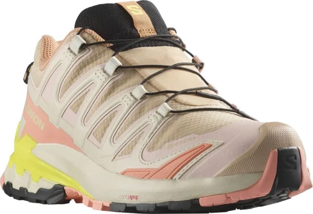 SALOMON XA PRO 3D V9 GTX ENROSE Chaussures de Randonnee etanche