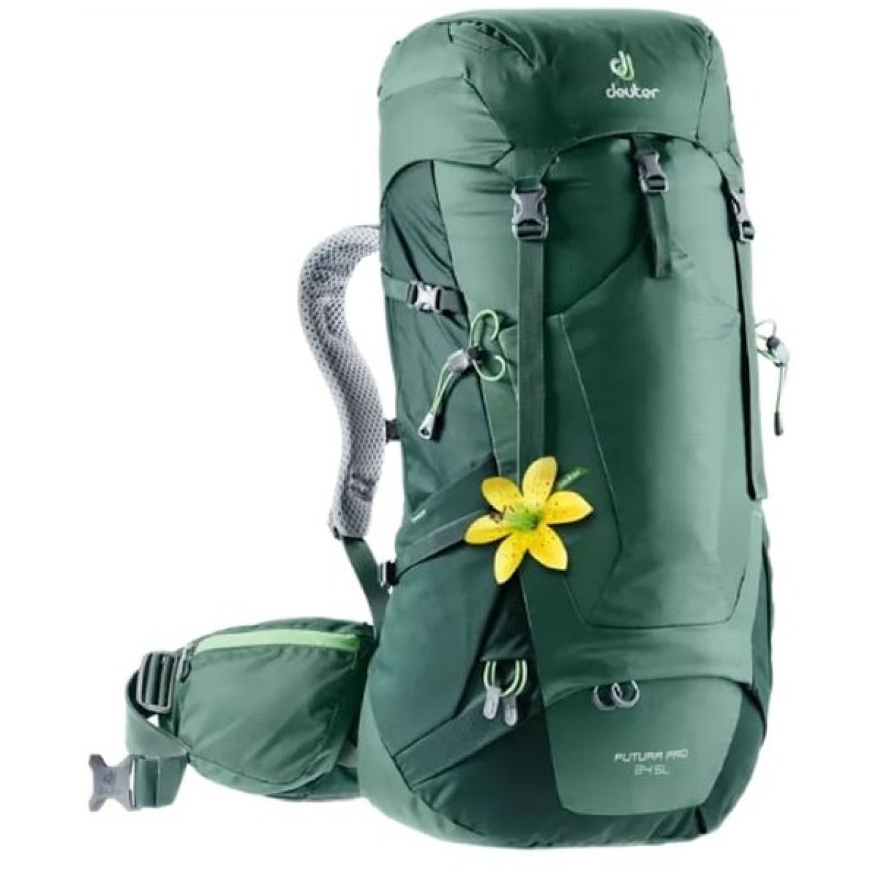 DEUTER FUTURA PRO 34 SL MARIN FORET Sac de randonnée