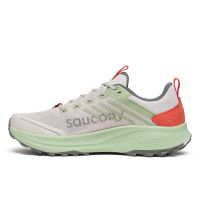 SAUCONY RIDE TR 2 MOON ET SAGE  Chaussures running pas cher