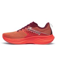 SAUCONY RIDE 17 PEPPER ET CURRANT Chaussures running pas cher