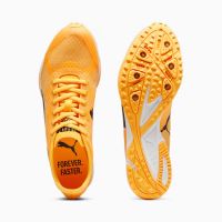 PUMA EVOSPEED HARAKA 8 Pointes d athlétisme pas cher