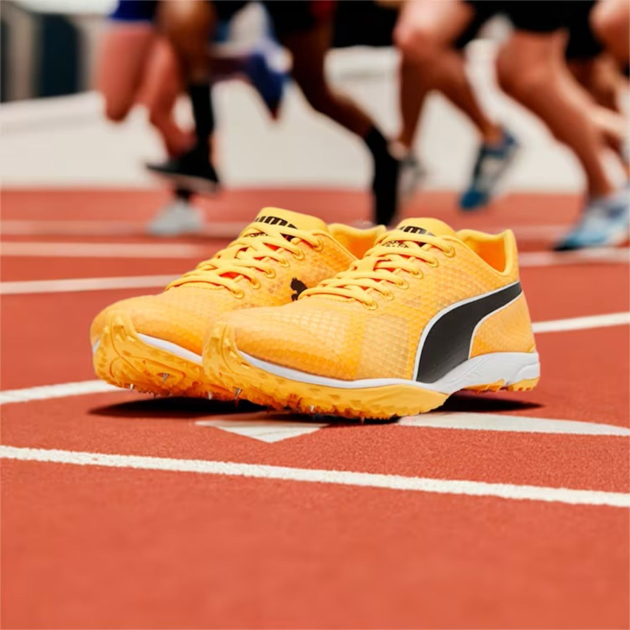 Pointes athlétisme puma top
