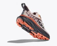 HOKA CHALLENGER ATR  7 GTX COSMIC PEARL Chaussures de Trail pas cher