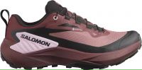 SALOMON GENESIS GTX  Chaussures de trail pas cher