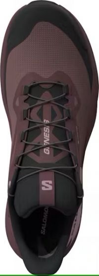 SALOMON GENESIS GTX  Chaussures de trail pas cher