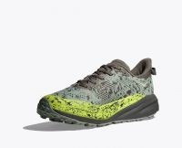 HOKA SPEEDGOAT 6 GTX SLATE ET ALOE VERA Chaussures de trail étanche pas cher