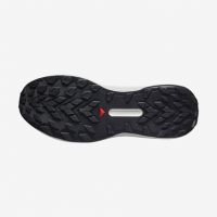 SALOMON GENESIS BLANCHE ET BLEUE Chaussures de trail pas cher