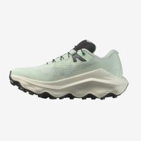 SALOMON ULTRA GLIDE 3 FUSION CLEARY AQUA Chaussures de trail pas cher