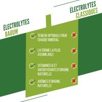 BAOUW PASTILLES ELCTROLYTES Differents parfums pas cher