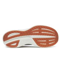 SAUCONY RIDE 18 CARBON ET ICEBERG Chaussures running pas cher