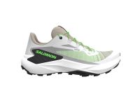 SALOMON GENESIS WHITE ET GREEN GECKO Chaussures de trail