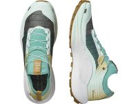 SALOMON S/LAB GENESIS LIMITED EDITION COURTNEY V2 WALF  Chaussures de trail pas cher