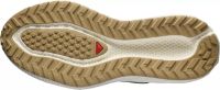 SALOMON AERO GLIDE 3 GRVL WREN ET VANILLA  Chaussures de running pas cher