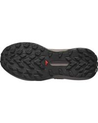 SALOMON GENESIS IRON ET CYCLMAMEN Chaussures de trail pas cher