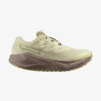 SALOMON AERO BLAZE 3 GRVL GTX W GREE HAZE ET ICE FLOW  Chaussures de running