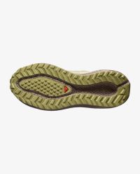 SALOMON AERO BLAZE 3 GRVL GTX W GREE HAZE ET ICE FLOW  Chaussures de running pas cher