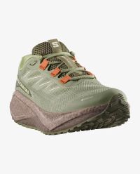 SALOMON AERO BLAZE 3 GRVL GTX  TEA ET IRON  Chaussures de running pas cher