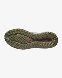 SALOMON AERO BLAZE 3 GRVL GTX  TEA ET IRON  Chaussures de running pas cher
