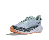 HOKA SPEEDGOAT 6 GTX JADE ET ASH GREY Chaussures de trail pas cher