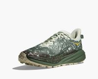 HOKA SPEEDGOAT 6 GTX SEA GLASS ET FERN  Chaussures de trail étanche pas cher