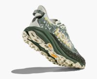 HOKA SPEEDGOAT 6 GTX SEA GLASS ET FERN  Chaussures de trail étanche pas cher