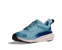 HOKA CHALLENGER ATR  7 GTX RAINDROP ET GROUT Chaussures de Trail pas cher