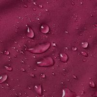 MIZUNO TRAIL  WATERPROOF 20K JACKET DARK PURPLE Veste running etanche pour femme pas cher