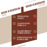 BAOUW BOISSON PROTEINEE DE RECUPERATION CHOCOLAT ET NOISETTE Boisson de recuperation pas cher