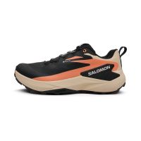 SALOMON GENESIS GTX  Chaussures de trail