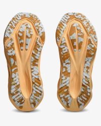 ASICS NOVABLAST 5 LITE SHOW  Chaussures Running pas cher