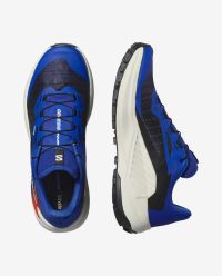 SALOMON GENESIS EQUIPE  Chaussures de trail pas cher