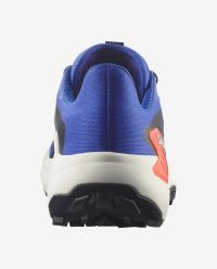 SALOMON GENESIS EQUIPE  Chaussures de trail pas cher