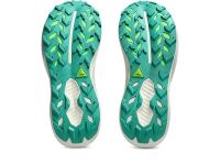 ASICS GEL TRABUCO 14 BLACK ET CLAY CANYON  Chaussures de trail pas cher