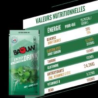 BAOUW BOISSON ISOTONIQUE MENTHE ET MELISSE 45G Boisson d effort pas cher