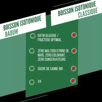 BAOUW BOISSON ISOTONIQUE MENTHE ET MELISSE 585g Boisson d effort pas cher