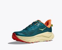 HOKA CHALLENGER ATR  8 TIDAL WAVE ET PAMPAS GRASS  Chaussures de Trail pas cher